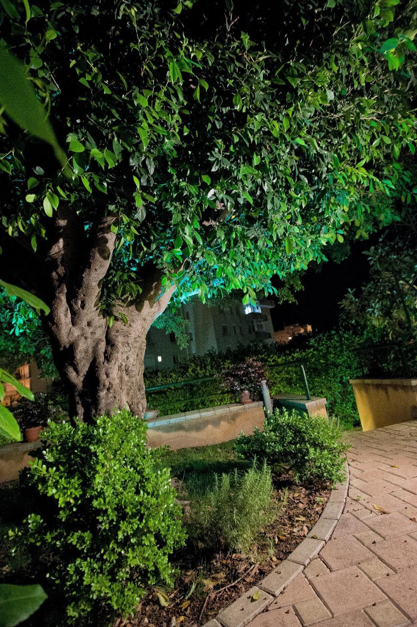 シャッカ Casale La Zagaraアパートホテル 部屋 写真